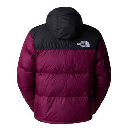 northface2